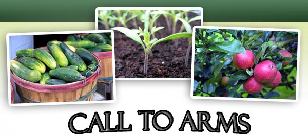Call To Arms 